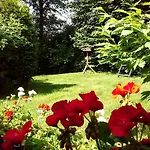 Cosy Holiday Home In Hildfeld With Terrace