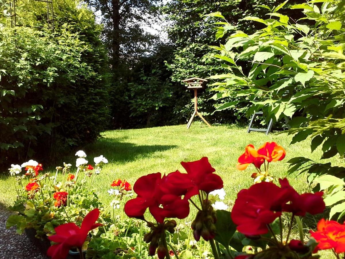 Cosy In Hildfeld With Terrace Winterberg