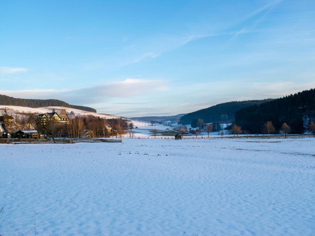 Ferienhaus Cosy In Hildfeld With Terrace Winterberg